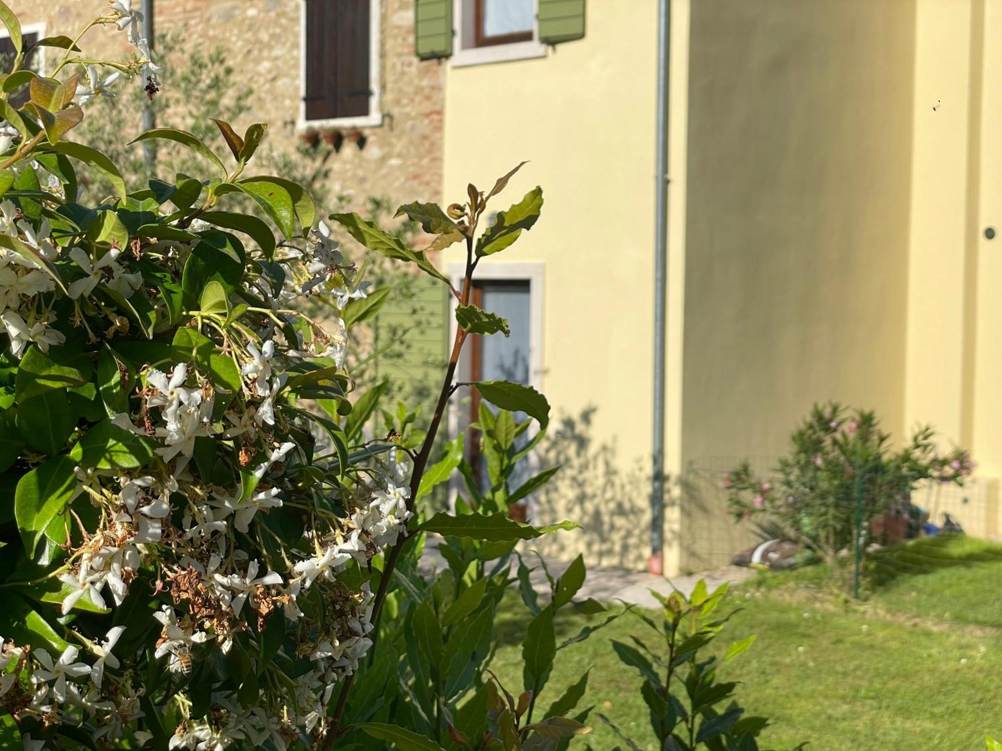 Casa Carlotte - Lago Di Garda Lazise Esterno foto